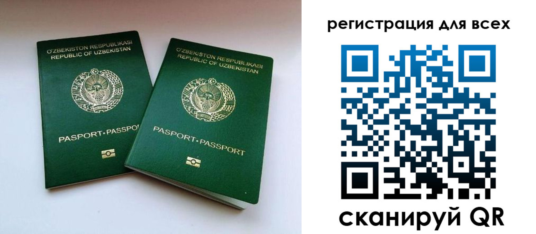 найти адрес прописки в Петрозаводске